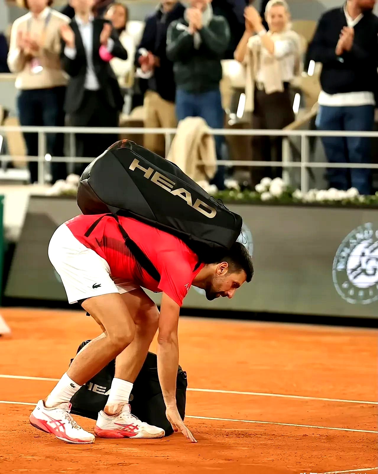 包含欧洲网球队血洗英国网球队，德约科维奇送出助攻的词条