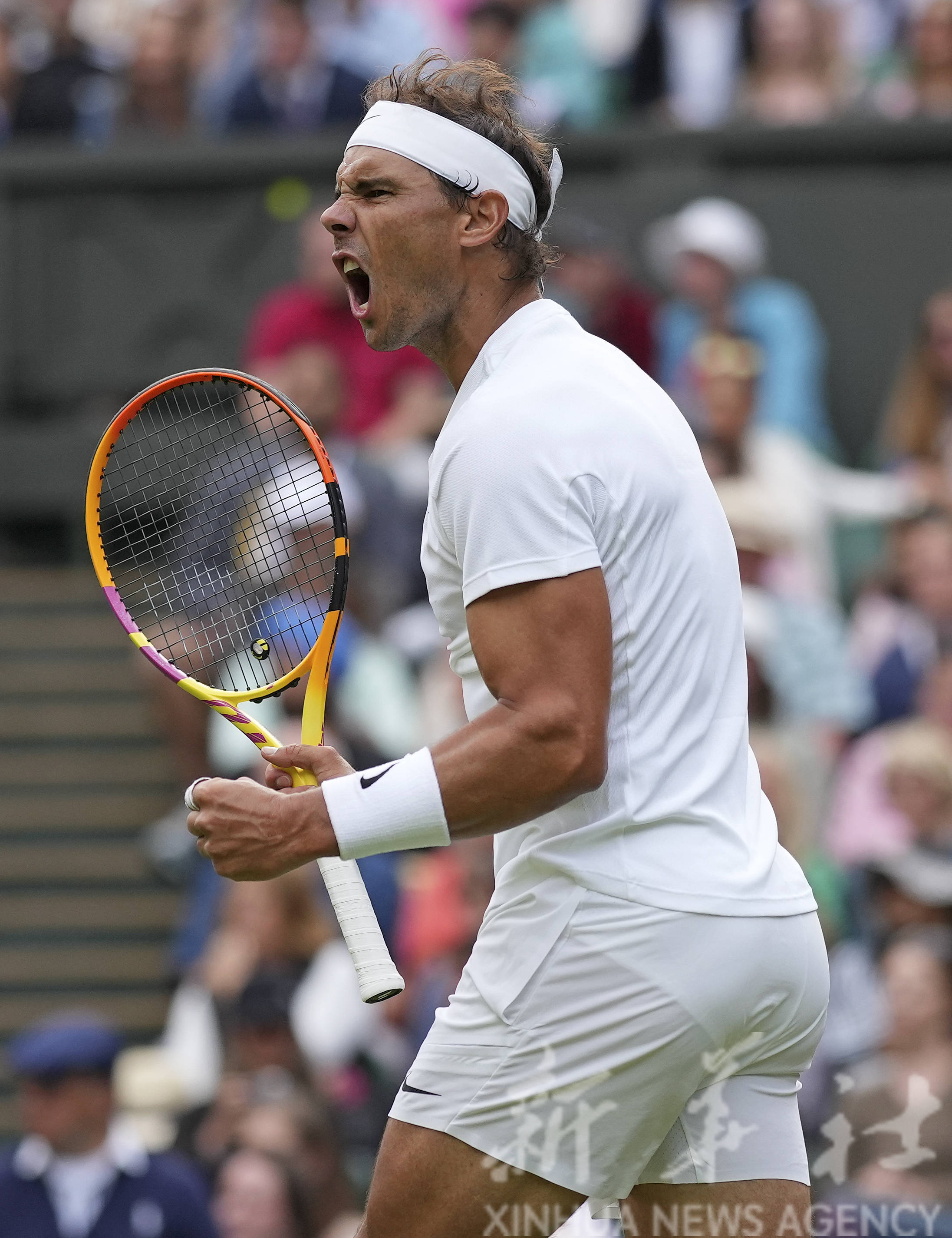 戴维斯杯绝杀温网，纳达尔高光表现的简单介绍