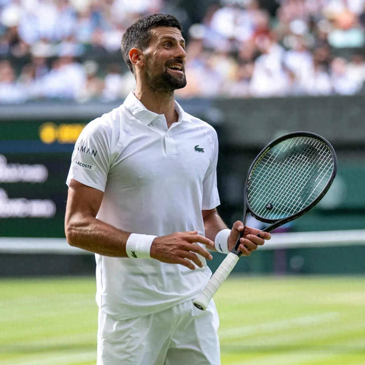 关于蒙特卡洛大师赛翻盘温网，德约科维奇点燃赛场的信息