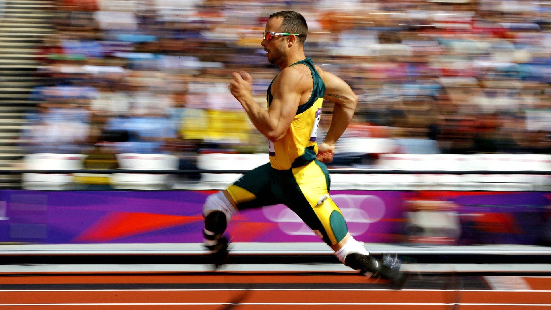 佛罗伦萨的奇迹，美加墨世界杯焦点战，紫百合绽放淘汰厄瓜多尔